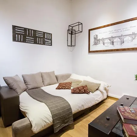 Home Domus Borgo Pio - San Pietro-2